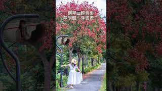 陳明韶～浮雲遊子❤️鋼琴🎹輕音樂醫院鋼琴志工 [upl. by Yaluz]