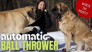 Best Winter Exercise for Large Dogs  PetSafe Automatic Ball Launcher Review  My Dogs Loved it ❤️ [upl. by Gnof]