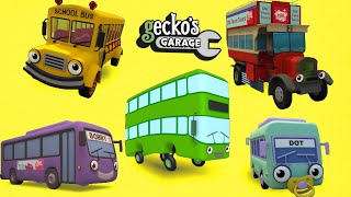 Counting Five Big Buses  Geckos Garage  Educational Videos For Toddlers  Buses For Children [upl. by Alrak]