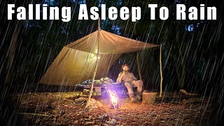 Solo Overnight under a Tarp in Heavy Rain [upl. by Barde712]