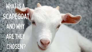 What is a Scapegoat and Why are they Chosen [upl. by Ayotas]