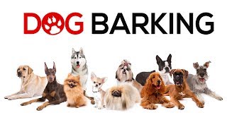 Dogs Barking Sounds To Make Your Dog REACT  34 Breeds Including Yours [upl. by Viguerie]