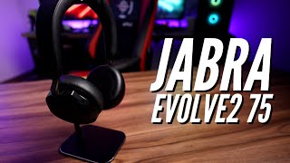 Jabra Evolve2 75  Jabra has another winner [upl. by Tcideneb205]