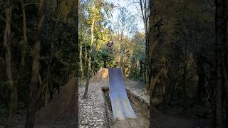 Big mama dziadekjam freeride mtb nsbikes [upl. by Nniw]