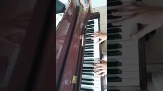 mamerico kirari futari piano cover🎹 [upl. by Robbyn330]