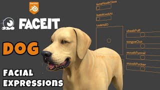 Blender FACEIT Tutorial  Dog Face Rig with FACEIT  Facial Expressions [upl. by Anos745]