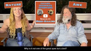 21 BirdBrains Nature  Robert Sapolsky FatherOffspring Interviews [upl. by Nikolai554]