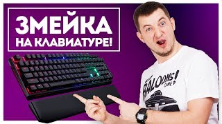 НА НЕЙ МОЖНО ИГРАТЬ БЕЗ КОМПЬЮТЕРА  CoolerMaster Masterkeys MK750 [upl. by Luas990]