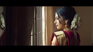 Brian amp Dhivya  Singapore Wedding Video  Indian amp Chinese Multicultural Wedding [upl. by Trebma]