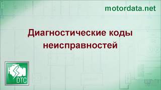 MotorData Professional  Диагностические коды неисправностей [upl. by Papagena]