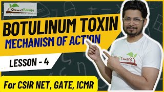 Botulinum toxin mechanism of action  Neurotoxin mode of action [upl. by Ramal]