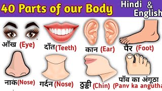 Parts of our Body  शरीर के अंगों के नाम  Hindi and English Vocabulary  The kituu world [upl. by Reywas]