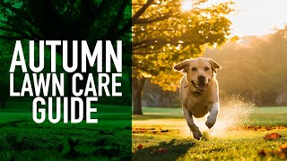 Autumn Lawn Care Guide [upl. by Alilahk]