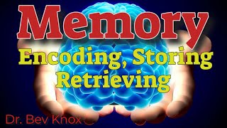 Psychology of Memory Encoding Storing amp Retrieving [upl. by Nanci]