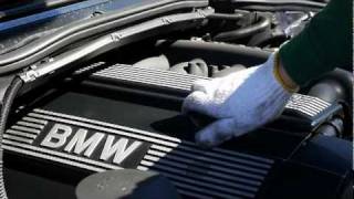 BMW ALPINA B3  Engine oil change [upl. by Alleb]