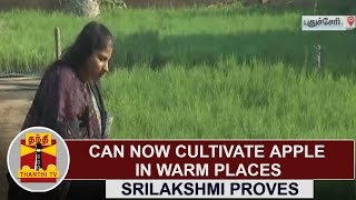 Can Now cultivate Apple in Warm Places  Researcher Srilakshmi proves  Thanthi TV [upl. by Vivien173]