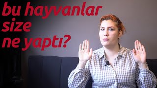 Hayvan Sevgisi Hakkında Dile Getirilmeyenler [upl. by Proudlove]