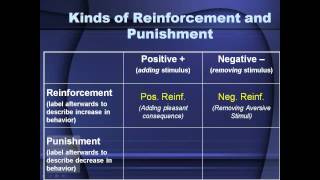 AP Psych Review Operant Conditioning Reinforcers and Punishers [upl. by Enelyahs]