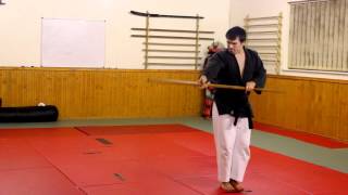 Kata SAKUGAWA NO KON  Matayoshi Kobudo [upl. by Fisa]