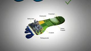 Ecological Footprint and Carbon Footprint Explained [upl. by Nnaul]