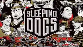 Sleeping Dogs AMV [upl. by Neeleuqcaj]