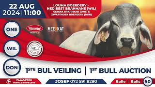 Louma Boerdery  1ste Bul Veiling 22 Aug 2024  1100 [upl. by Julissa182]