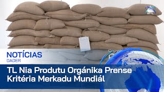 Produtu Orgánika TimorLeste Iha Poténsia Boot ba Exportasaun Iha Merkadu Mundiál [upl. by Norihs736]