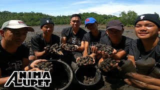 Horn Snail  quotBagongonquot at quotSakasakaquot Forage amp Cook  Ginataang Bagongon Recipe [upl. by Yecac]