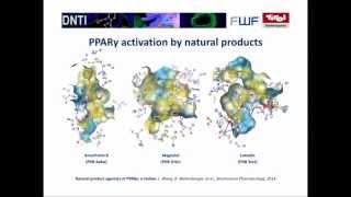 Natural product agonists of PPARγ a review [upl. by Hentrich160]