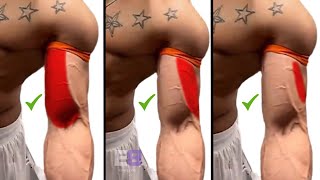 Best Exercises for Biceps and Triceps  30 days Workout [upl. by Pol]