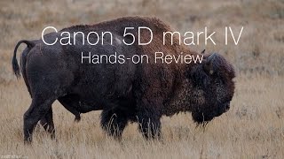 Canon 5D mark IV Handson Review [upl. by Klatt]