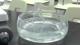 STS Supersaturation Lab Demo by Mr N [upl. by Jasisa]