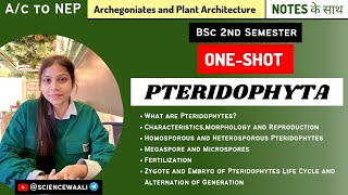 Characteristics Morphology and Reproduction of Pteridophyta  OneShot  BSC Science [upl. by Gardie]