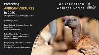 Saving African Vultures in 2020  BirdLife Conservation Webinar Series [upl. by Lavina]