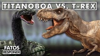 Titanoboa VS T Rex Quem venceria  FATOS RESPONDE [upl. by Oby717]