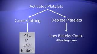 HeparinInduced Thrombocytopenia [upl. by Kcirddec]