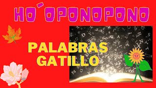 HOOPONOPONO PALABRAS GATILLO [upl. by Cohberg]