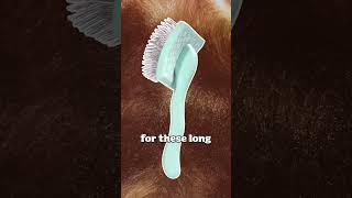 Brodie Brush  Dog Brush for Shedding and Grooming [upl. by Nico]