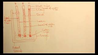 DEMONSTRATION OF SOIL CAPILLARITY [upl. by Assina]