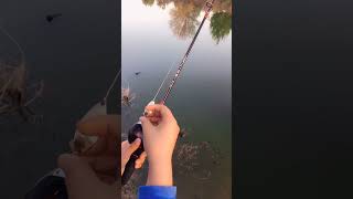 Best fishing rod in cheap rates viralvideo shorts [upl. by Warfeld]