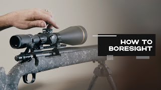 How to boresight a rifle  NIOA TV [upl. by Verada29]