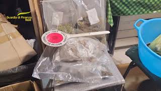 GDF Frattamaggiore  Sequestrati oltre 50 kg di marijuana essiccata [upl. by Helfant160]