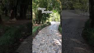 🌿 dhaka resort bangladesh nature trendingsong ytshorts viralshort beautifulplace [upl. by Mezoff]