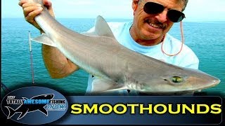 How to catch SmoothHounds  The Totally Awesome Fishing Show [upl. by Trevor230]