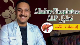 ما هو تحليل ALP و النسبة الطبيعية لانزيم alkaline phosphatase و امراض الكبد  انزيمات الكبد [upl. by Pizor]