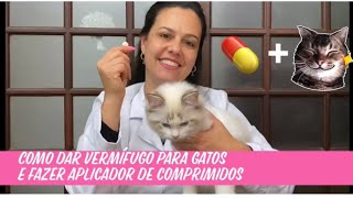 Como dar vermífugo para gatos técnica do burrito e como fazer um aplicador de comprimidos em casa [upl. by Nimrahc]