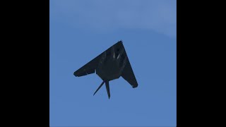 It is VERY RARE to see the F117 Nighthawk fighter aircraft 84 824 taking off [upl. by Eidnam]