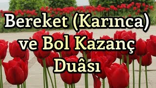 Bereket Duası  Karınca Duası  Bol Rızık Duası  Amin [upl. by Edea745]