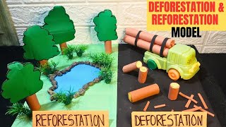 Deforestation and Reforestation 3D model  Afforestation model project  Exhibition model for school [upl. by Seaddon]