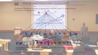 Ingenuity Pathway Analysis IPAOmicSoft integration [upl. by Arima]